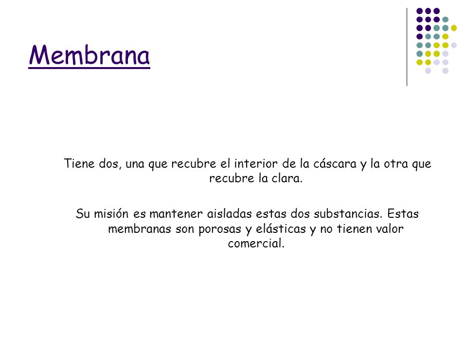Membrana Tiene dos, una que recubre el interior de la cáscara y la otra que recubre la clara.