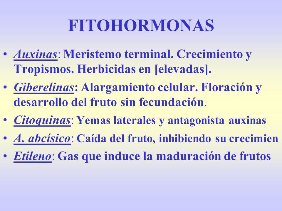 FITOHORMONAS Auxinas: Meristemo terminal. Crecimiento y Tropismos. Herbicidas en [elevadas].