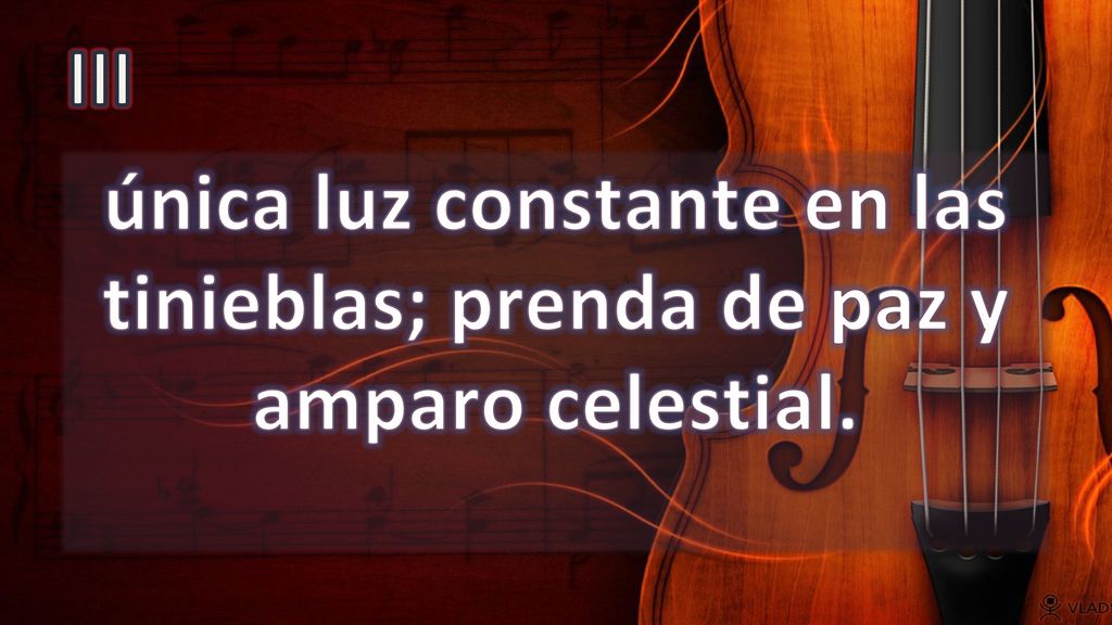 III única luz constante en las tinieblas; prenda de paz y amparo celestial.