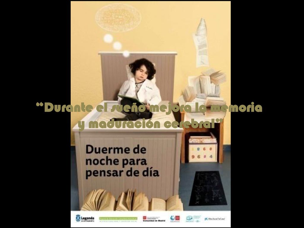 Durante el sueño mejora la memoria y maduración cerebral