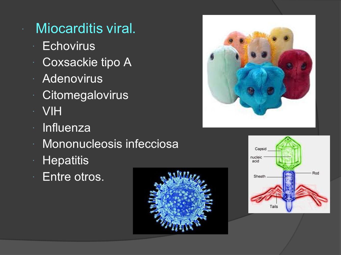 Miocarditis viral. Echovirus Coxsackie tipo A Adenovirus