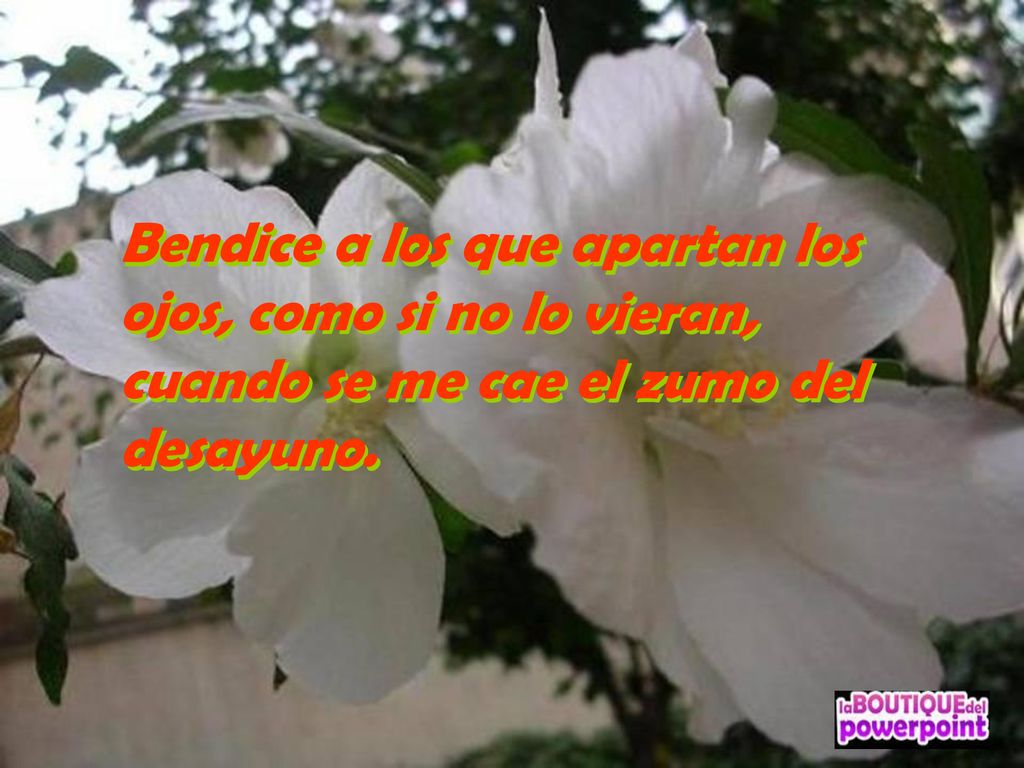 Bendice a los que apartan los ojos, como si no lo vieran, cuando se me cae el zumo del desayuno.