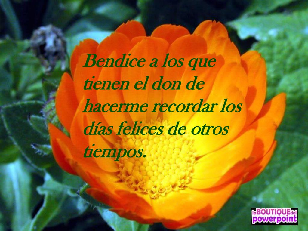 Bendice a los que tienen el don de hacerme recordar los días felices de otros tiempos.
