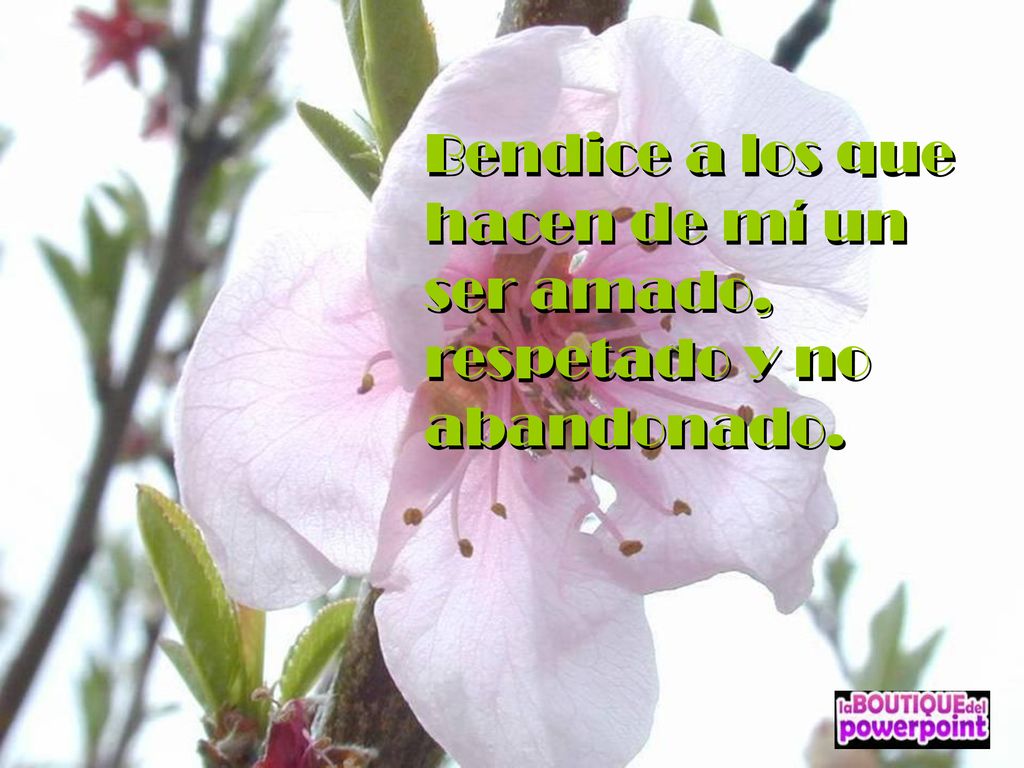 Bendice a los que hacen de mí un ser amado, respetado y no abandonado.