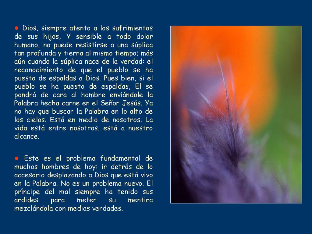 ● Dios, siempre atento a los sufrimientos de sus hijos, Y sensible a todo dolor humano, no puede resistirse a una súplica tan profunda y tierna al mismo tiempo; más aún cuando la súplica nace de la verdad: el reconocimiento de que el pueblo se ha puesto de espaldas a Dios. Pues bien, si el pueblo se ha puesto de espaldas, El se pondrá de cara al hombre enviándole la Palabra hecha carne en el Señor Jesús. Ya no hay que buscar la Palabra en lo alto de los cielos. Está en medio de nosotros. La vida está entre nosotros, está a nuestro alcance.