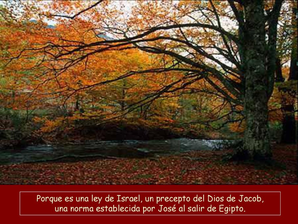 Porque es una ley de Israel, un precepto del Dios de Jacob, una norma establecida por José al salir de Egipto.