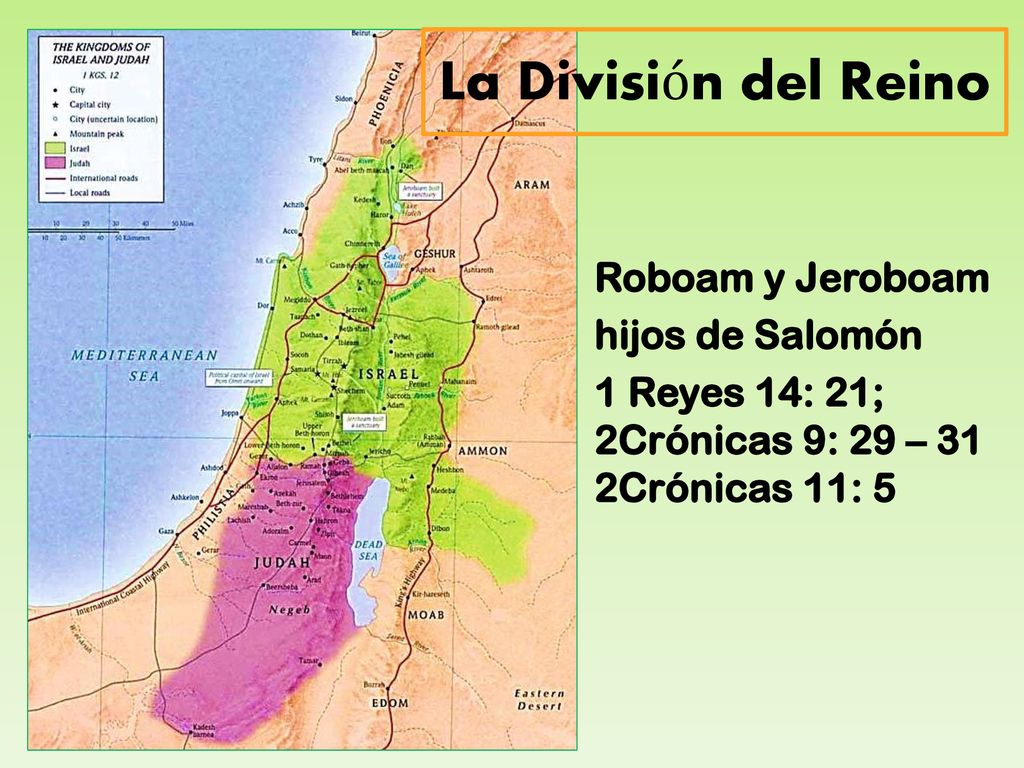 La División del Reino Roboam y Jeroboam hijos de Salomón 1 Reyes 14: 21; 2Crónicas 9: 29 – 31 2Crónicas 11: 5