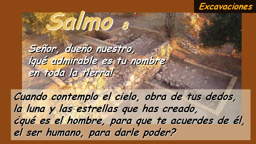 Salmo 8 Señor, dueño nuestro, ¡qué admirable es tu nombre
