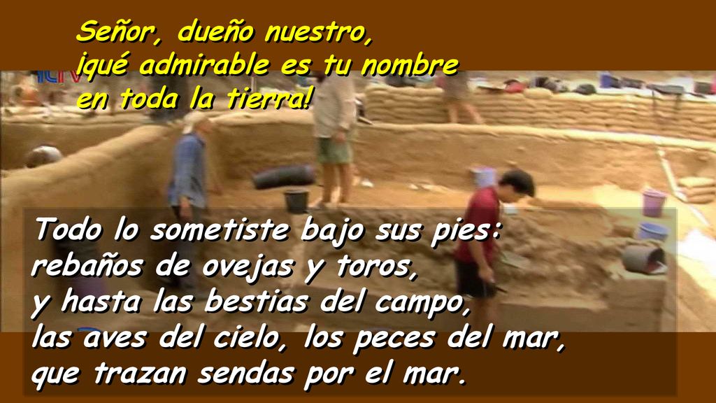 Todo lo sometiste bajo sus pies: rebaños de ovejas y toros,