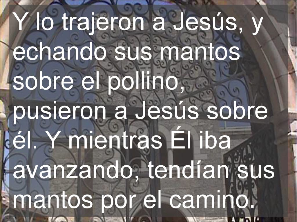 Y lo trajeron a Jesús, y echando sus mantos sobre el pollino, pusieron a Jesús sobre él.