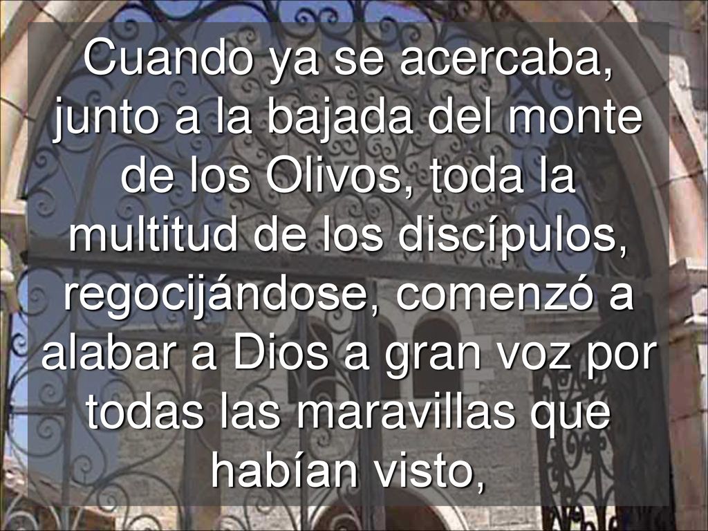 Cuando ya se acercaba, junto a la bajada del monte de los Olivos, toda la multitud de los discípulos, regocijándose, comenzó a alabar a Dios a gran voz por todas las maravillas que habían visto,