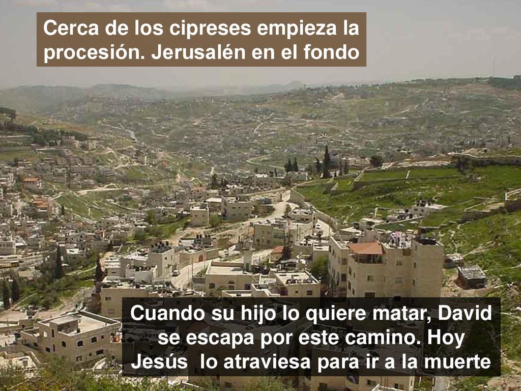 Cerca de los cipreses empieza la procesión. Jerusalén en el fondo