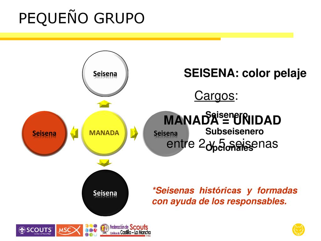 PEQUEÑO GRUPO Cargos: MANADA = UNIDAD entre 2 y 5 seisenas