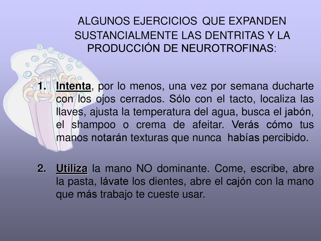 ALGUNOS EJERCICIOS QUE EXPANDEN SUSTANCIALMENTE LAS DENTRITAS Y LA PRODUCCIÓN DE NEUROTROFINAS: