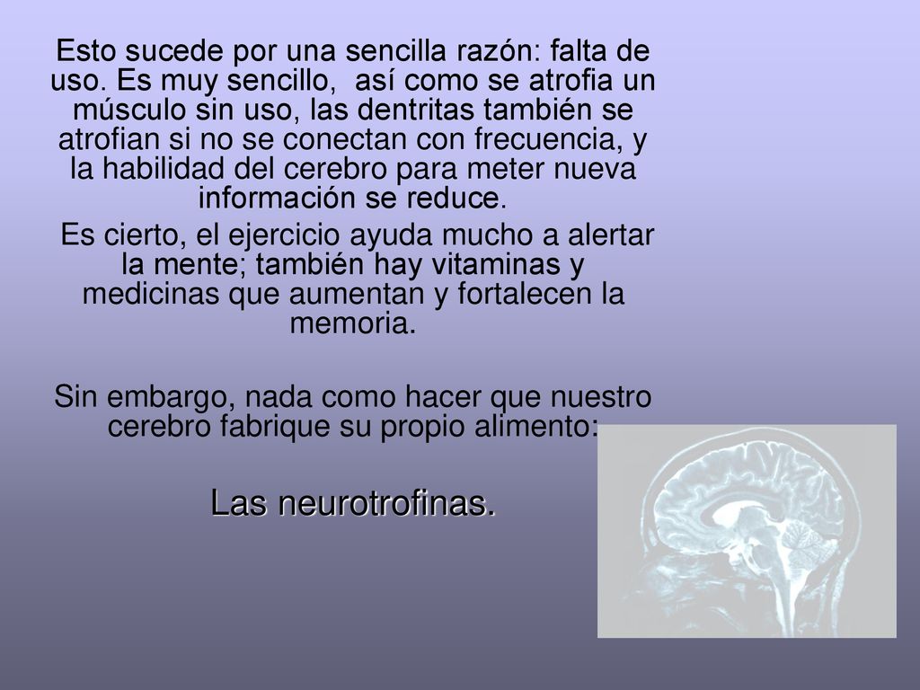 Esto sucede por una sencilla razón: falta de uso