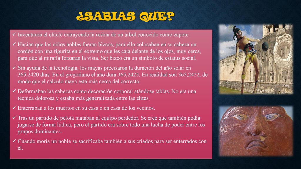 ¿Sabias que Inventaron el chicle extrayendo la resina de un árbol conocido como zapote.
