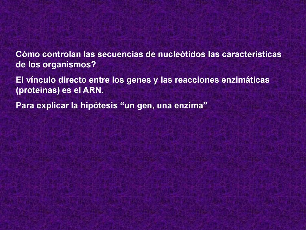 Cómo controlan las secuencias de nucleótidos las características de los organismos
