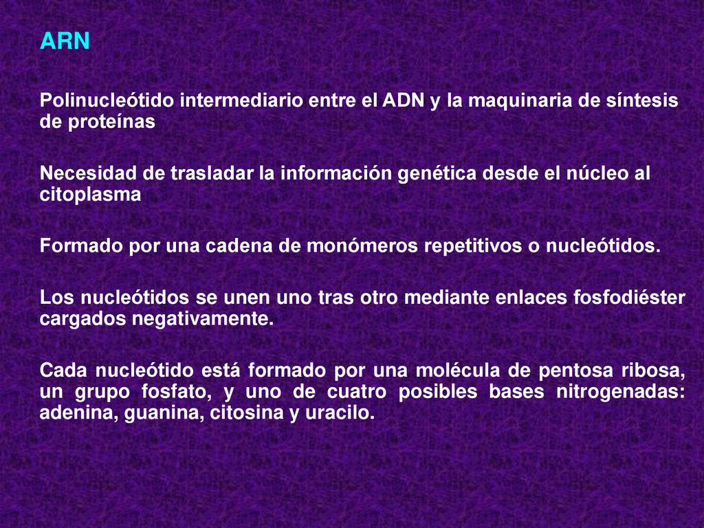 ARN Polinucleótido intermediario entre el ADN y la maquinaria de síntesis de proteínas.