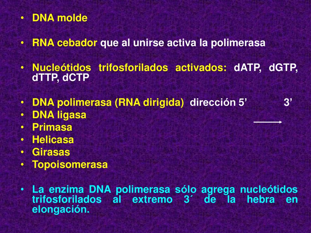 DNA molde RNA cebador que al unirse activa la polimerasa. Nucleótidos trifosforilados activados: dATP, dGTP, dTTP, dCTP.