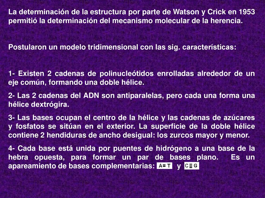 La determinación de la estructura por parte de Watson y Crick en 1953 permitió la determinación del mecanismo molecular de la herencia.