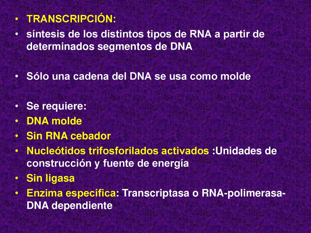 TRANSCRIPCIÓN: síntesis de los distintos tipos de RNA a partir de determinados segmentos de DNA. Sólo una cadena del DNA se usa como molde.