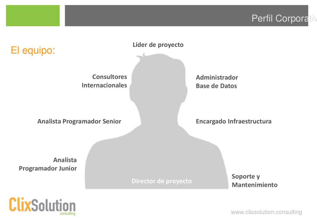 El equipo: Perfil Corporativo Líder de proyecto Consultores