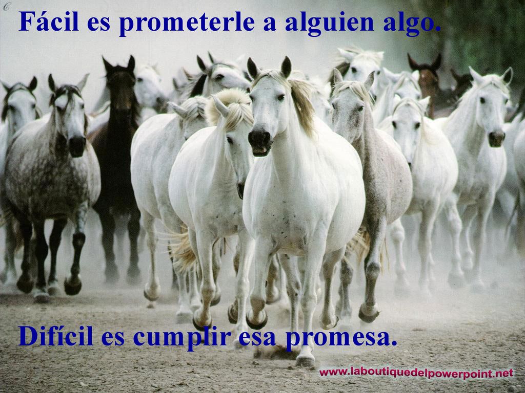 Fácil es prometerle a alguien algo. Difícil es cumplir esa promesa.