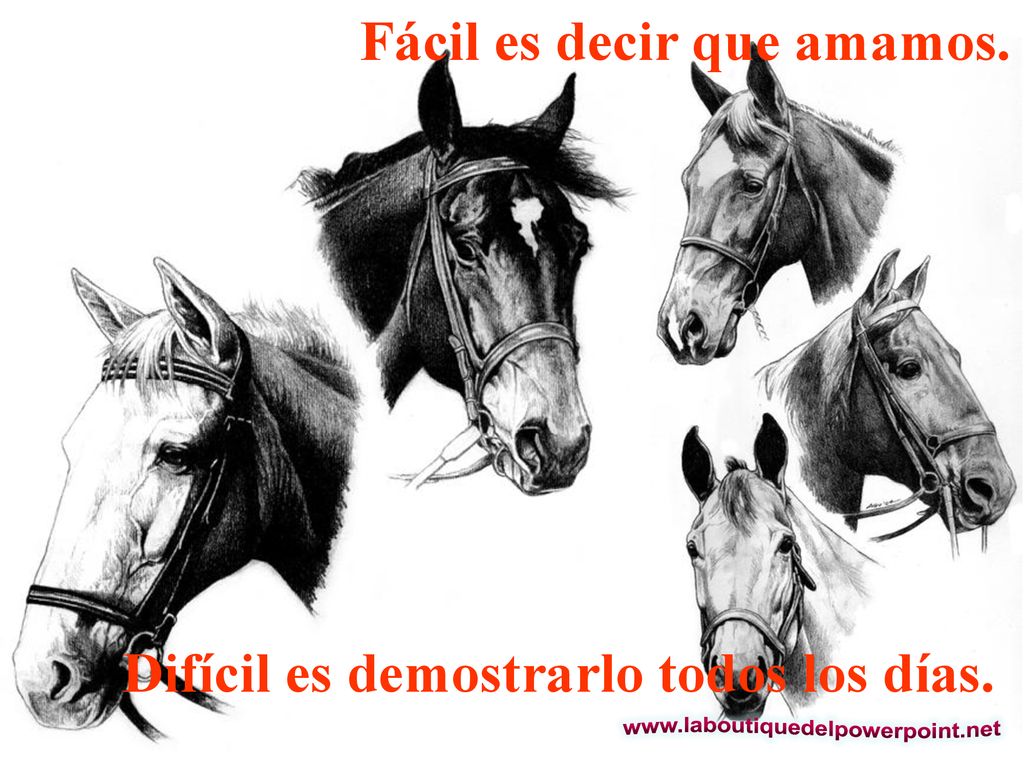Fácil es decir que amamos. Difícil es demostrarlo todos los días.