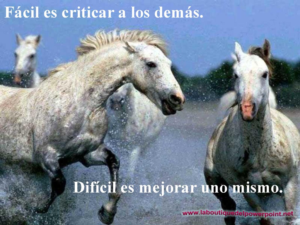 Fácil es criticar a los demás. Difícil es mejorar uno mismo.