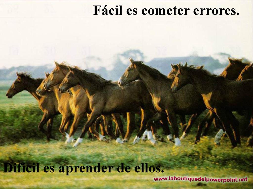 Fácil es cometer errores. Difícil es aprender de ellos.