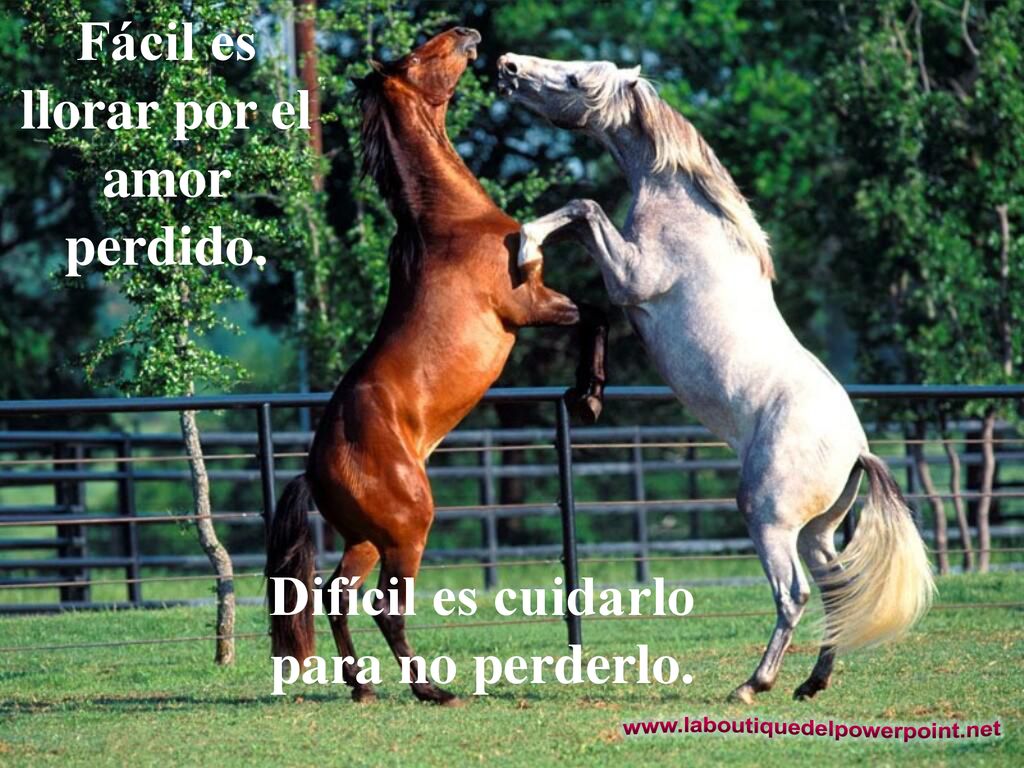 Fácil es llorar por el amor perdido.