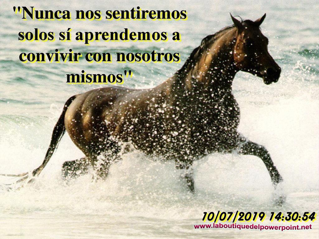 Nunca nos sentiremos solos sí aprendemos a convivir con nosotros mismos