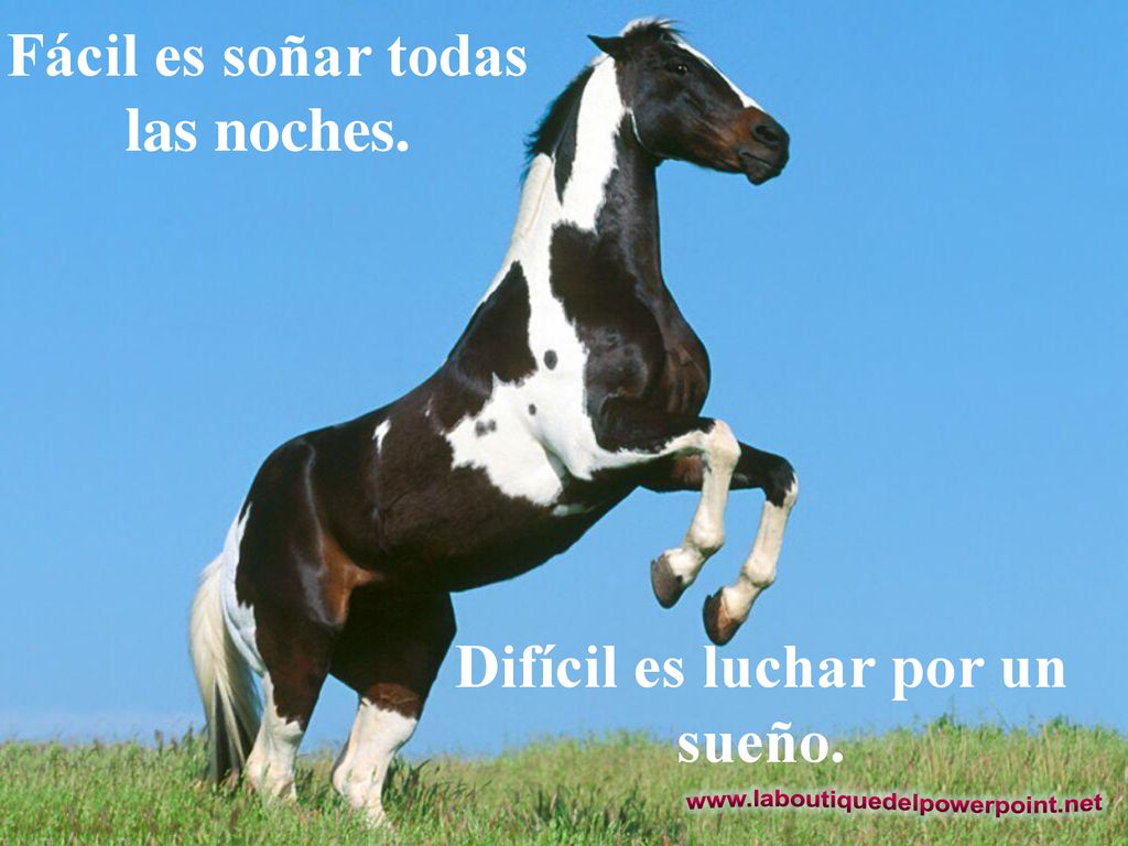 Fácil es soñar todas las noches. Difícil es luchar por un sueño.