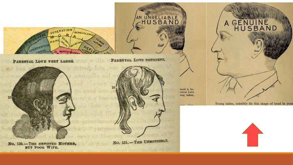 Darwinismo social - Teoría de la evolución aplicada a las personas. Hay razas que se adaptan mejor al medio ambiente que otras