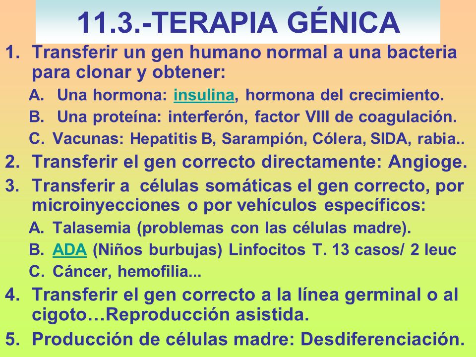 11.3.-TERAPIA GÉNICA Transferir un gen humano normal a una bacteria para clonar y obtener: Una hormona: insulina, hormona del crecimiento.