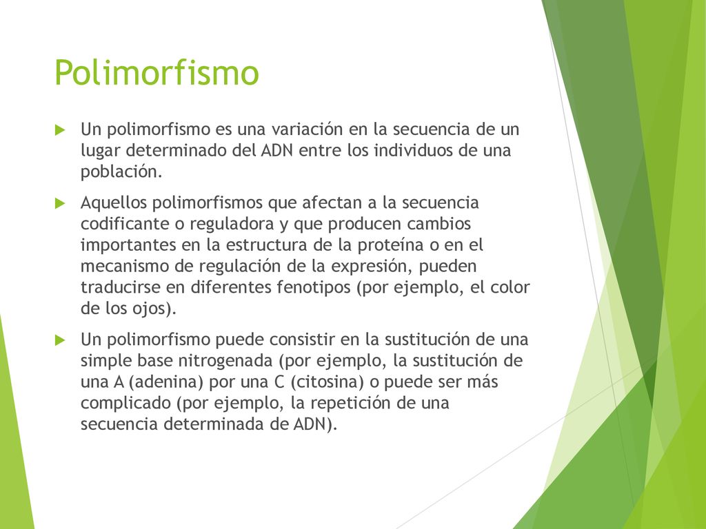 Polimorfismo Un polimorfismo es una variación en la secuencia de un lugar determinado del ADN entre los individuos de una población.