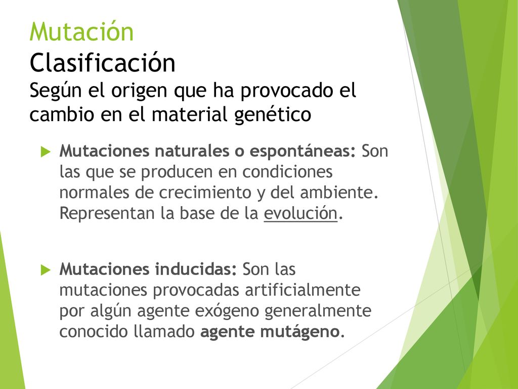 Mutación Clasificación Según el origen que ha provocado el cambio en el material genético