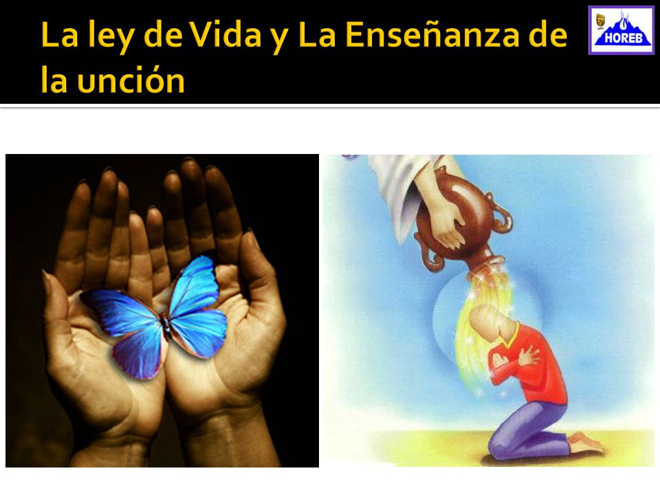 La ley de Vida y La Enseñanza de la unción