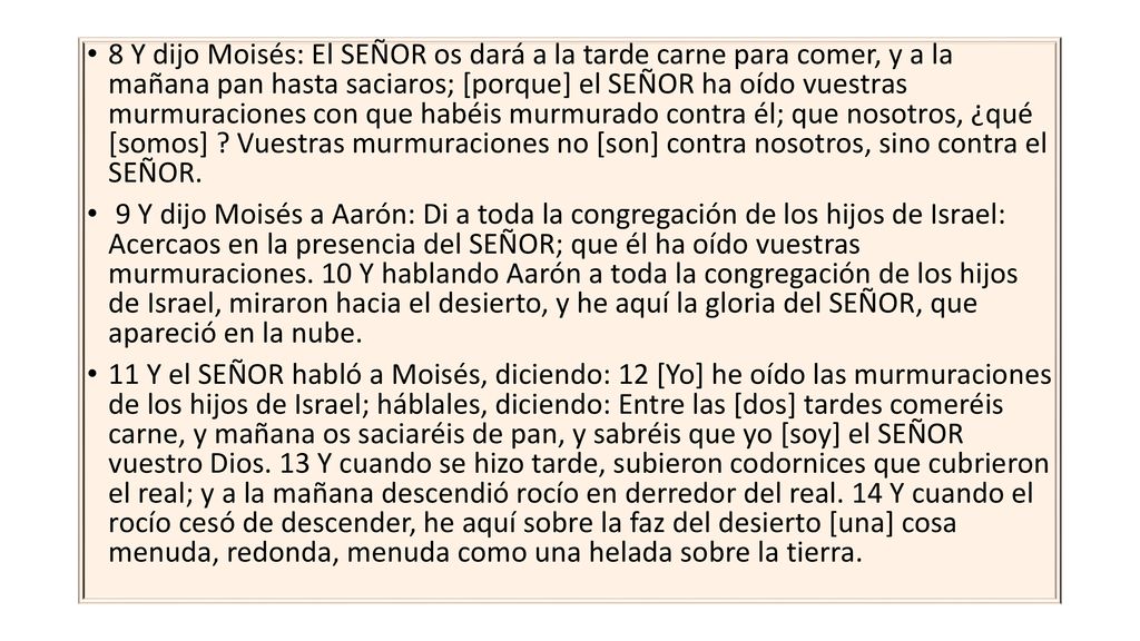 8 Y dijo Moisés: El SEÑOR os dará a la tarde carne para comer, y a la mañana pan hasta saciaros; [porque] el SEÑOR ha oído vuestras murmuraciones con que habéis murmurado contra él; que nosotros, ¿qué [somos] Vuestras murmuraciones no [son] contra nosotros, sino contra el SEÑOR.
