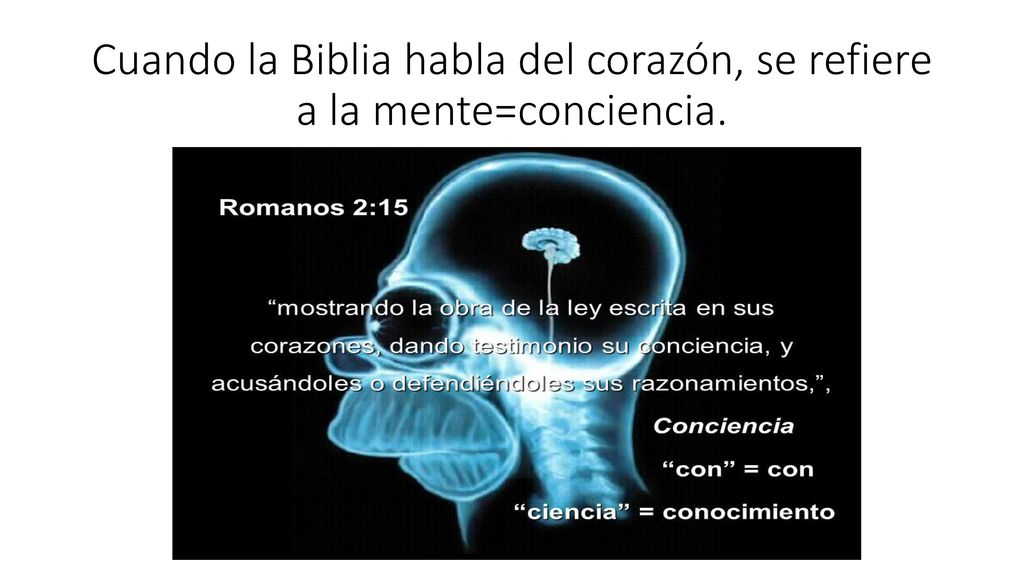 Cuando la Biblia habla del corazón, se refiere a la mente=conciencia.
