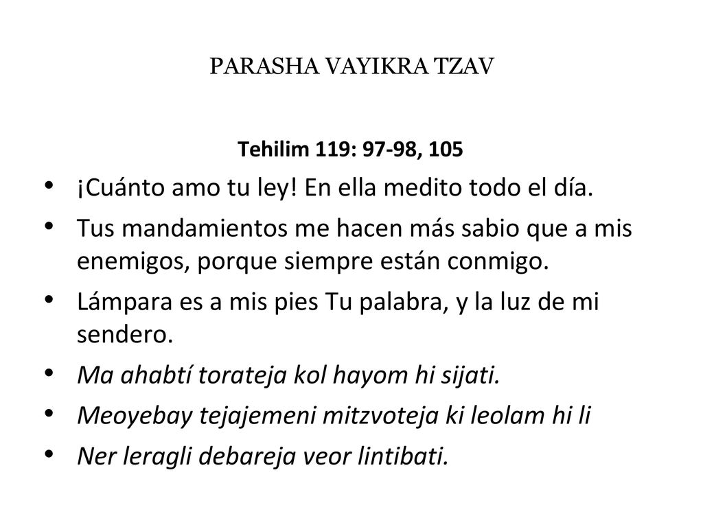 ¡Cuánto amo tu ley! En ella medito todo el día.
