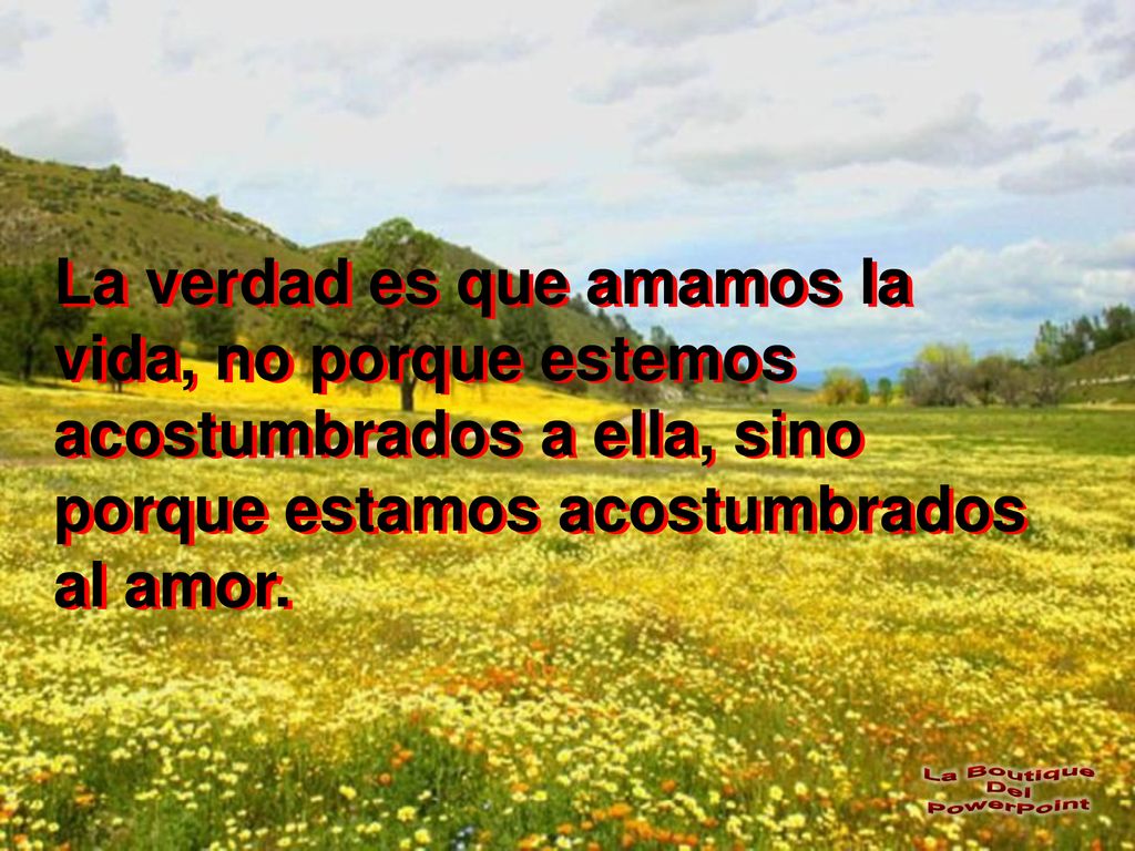 La verdad es que amamos la vida, no porque estemos acostumbrados a ella, sino porque estamos acostumbrados al amor.