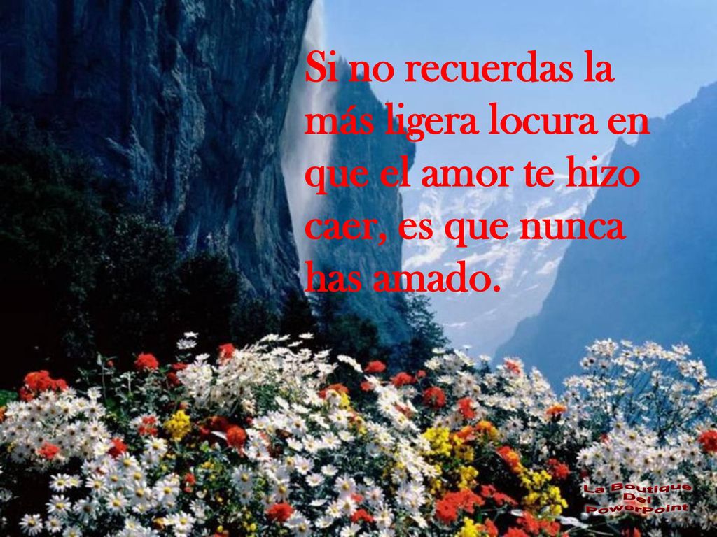 Si no recuerdas la más ligera locura en que el amor te hizo caer, es que nunca has amado.