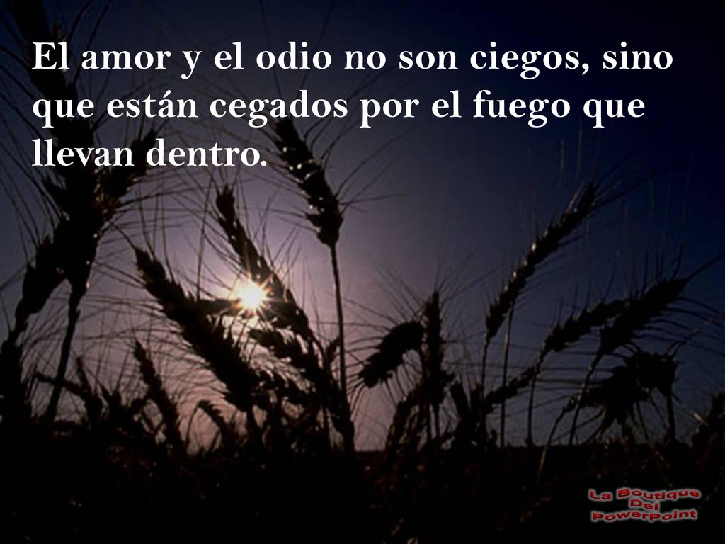 El amor y el odio no son ciegos, sino que están cegados por el fuego que llevan dentro.