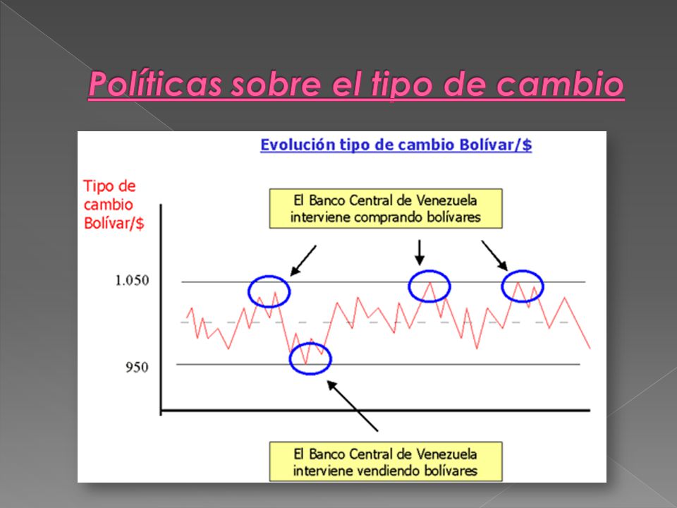 Políticas sobre el tipo de cambio