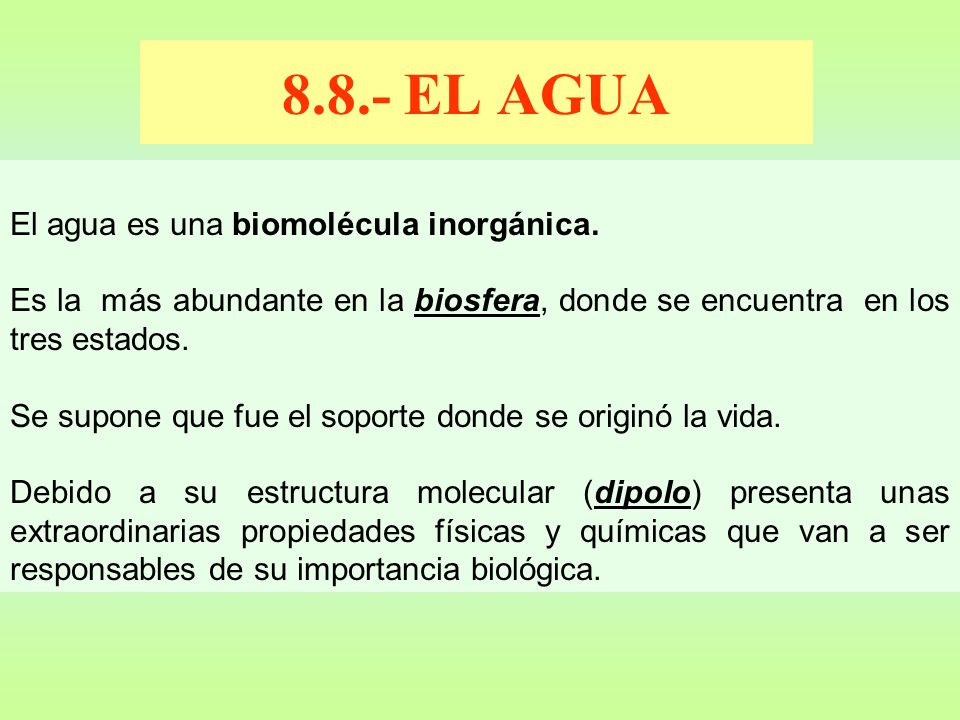 8.8.- EL AGUA El agua es una biomolécula inorgánica.