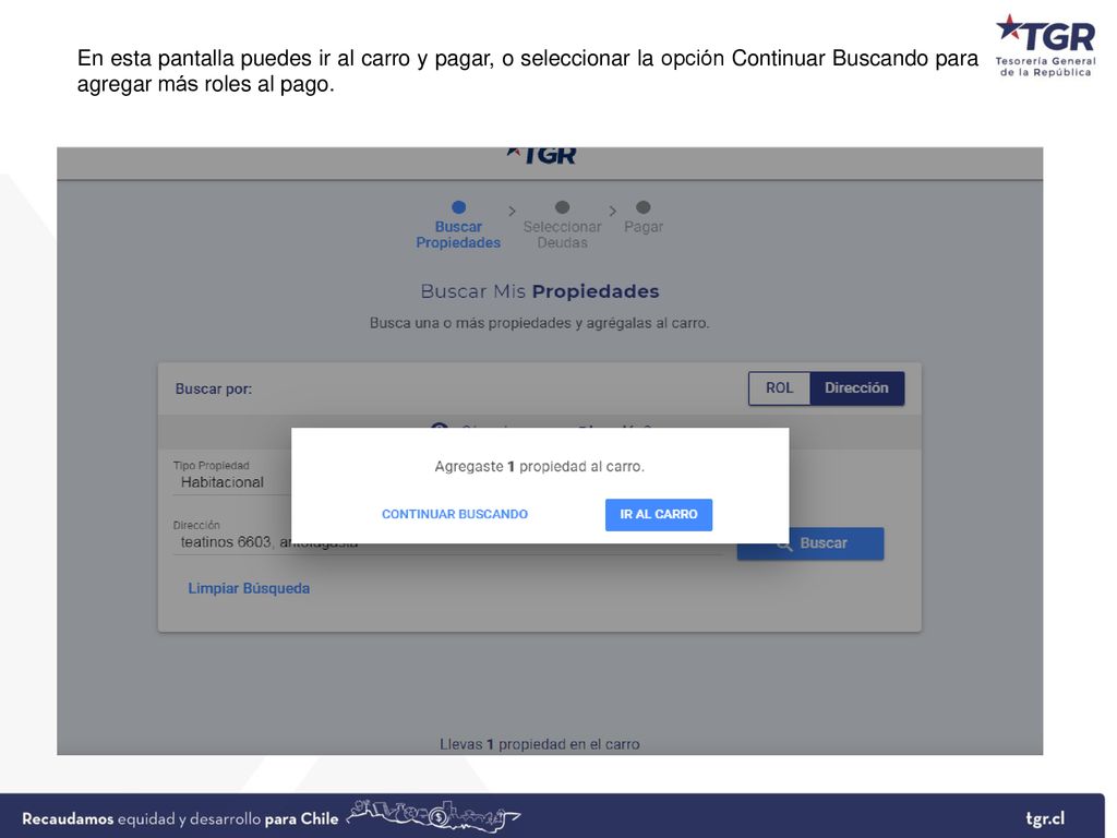 En esta pantalla puedes ir al carro y pagar, o seleccionar la opción Continuar Buscando para agregar más roles al pago.