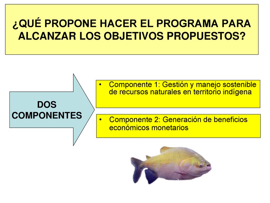 ¿QUÉ PROPONE HACER EL PROGRAMA PARA ALCANZAR LOS OBJETIVOS PROPUESTOS