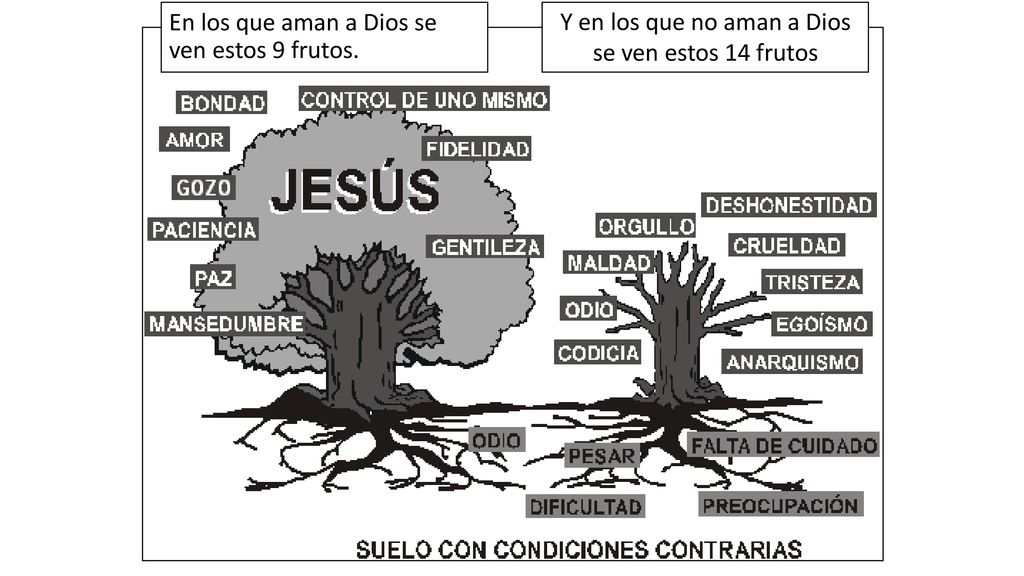 En los que aman a Dios se ven estos 9 frutos.