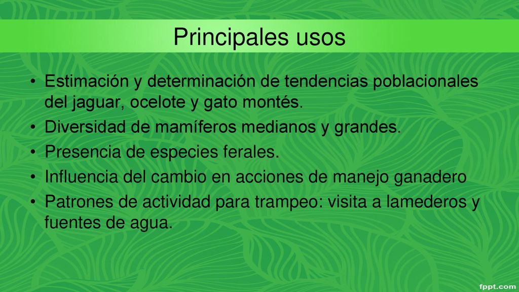 Principales usos Estimación y determinación de tendencias poblacionales del jaguar, ocelote y gato montés.